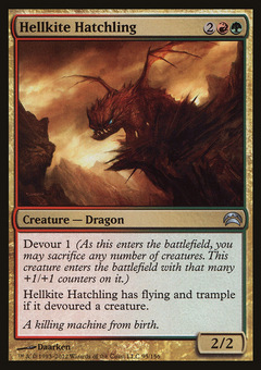 Hellkite Hatchling